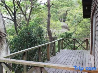 Shenzhen Evergreen Resort - 35