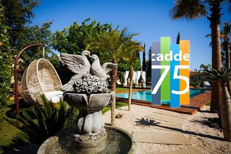 Cadde 75 - 65
