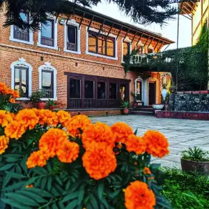 Himalayan Horizon - 37