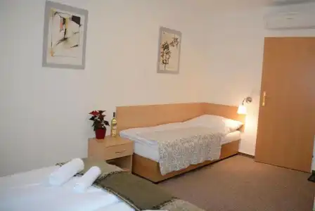 Wellness Vila Bohemia - 45