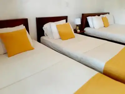 Weligama Ocean Breeze - 22