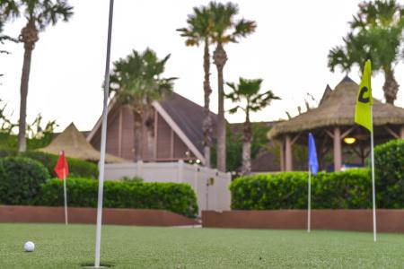 Polynesian Isles Resort By Diamond Resorts - 36