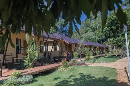 Khaosok Rainforest Resort - 142