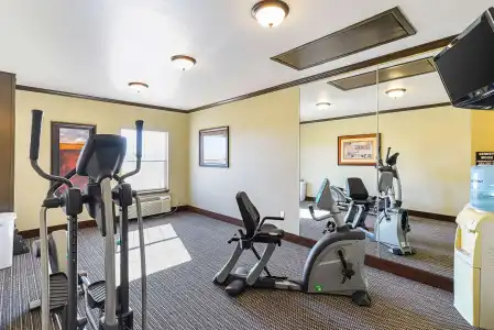 Quality Inn & Suites Lubbock South - 17