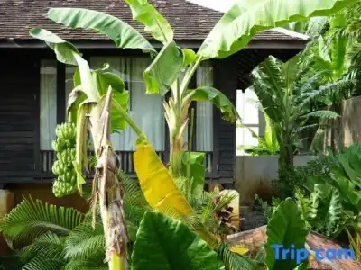 Baan Saen Fang - 120
