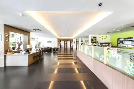 The LimeTree - 14
