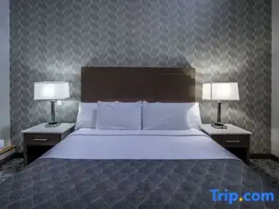 Monte Carlo Inn Toronto - Markham - 52