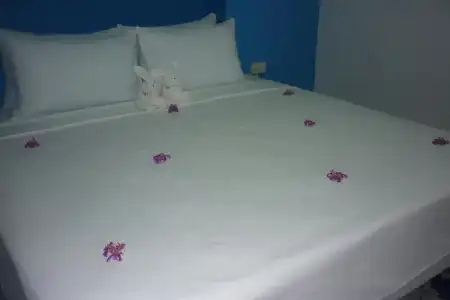 Maneemudjalin Resorts Farm Stay - 43