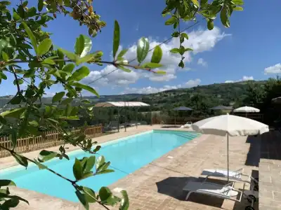 Agriturismo la Palazzetta di Assisi - 11