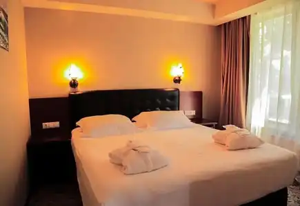 Borjomi Palace Health & Spa Center - 50