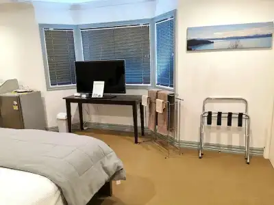 Lush & Co Auckland Bed & Breakfast - 23