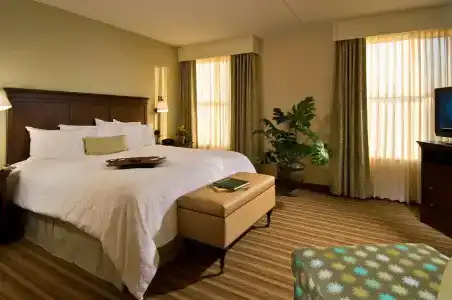 Hampton Inn & Suites Saratoga Springs Downtown - 107