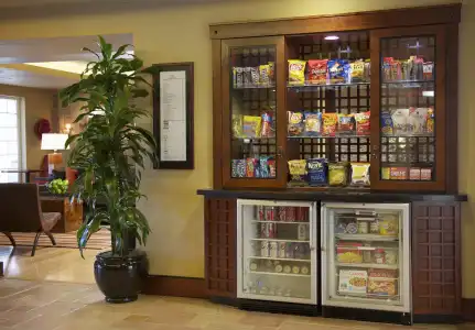 Larkspur Landing Extended Stay Suites Bellevue - 10