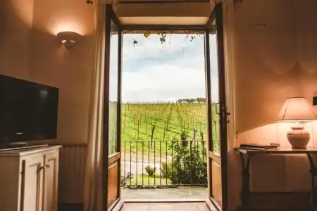 Fattoria di Corsignano - 97