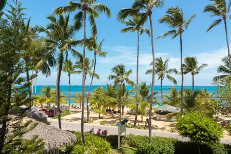 Residence Playa Colibri - 42