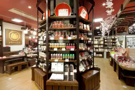 Hikone Castle Resort & Spa - 8