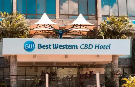 CBD - 0