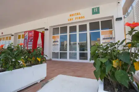 Hostal Los Pinos - 0