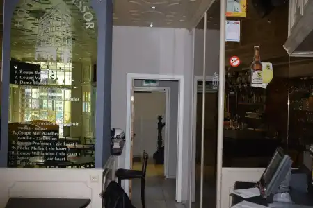 Professor - 1