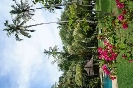 Koyao Bay Pavilions - 53