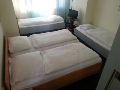 Hotelgarni Frankfurt - 1