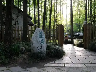 Lotus Glade - 4