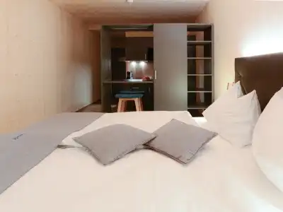 Cubilaris Motel Bad Ragaz - 61