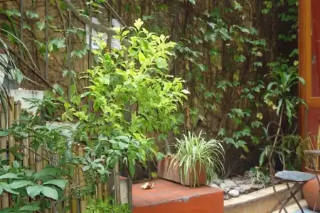 Rugantino Boutique - 1