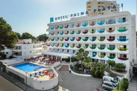 Vibra Palma Cactus - 28