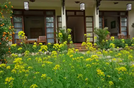 Tropical Garden Homestay Villa - 29