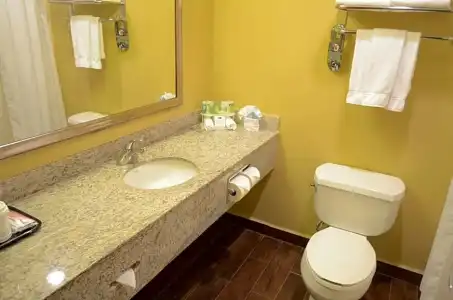 Best Western Premier Houston Downtown/Convention Center - 65