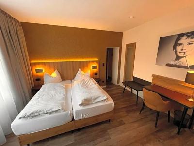 Hotel-Restaurant Amadeus - 31