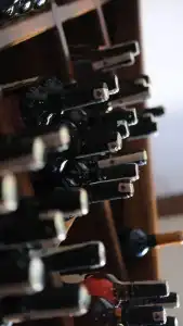 Ada Bacchus - 15