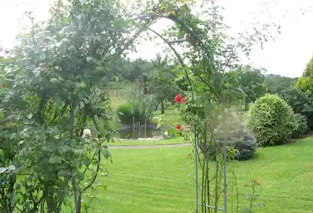 Hotel-Gasthof Rose - 16