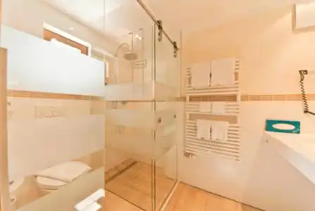 Hôtel des Alpes - 36