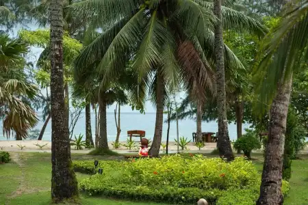 Mafiya Resort - 82