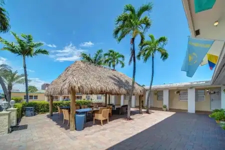The Palms - 3