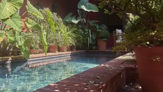 Be Jardin Escondido by Coppola - 21