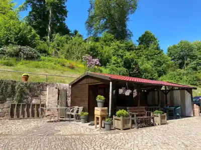 Pension Gelpkes Mühle - 11