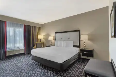 Best Western Plus Laredo Inn & Suites - 27