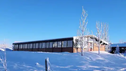Geysir Hestar - 27