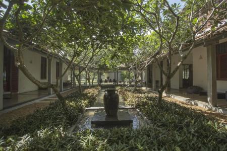 The Frangipani Tree by Edwards Collection - 66
