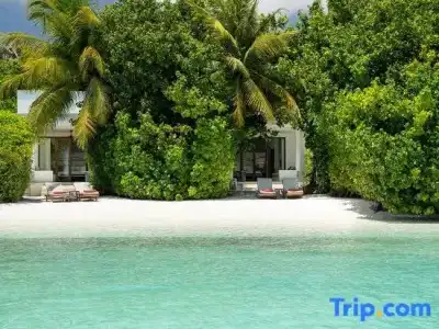 Niva Dhigali Maldives - A Premium All-Inclusive Resort - 59