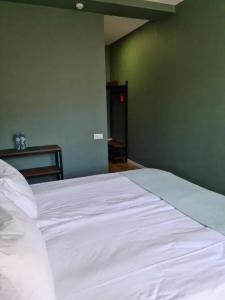 Hilltop Kazbegi - 58