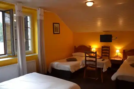Hôtel du Château Annecy - 5