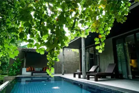 MUTHI MAYA Forest Pool Villa Resort - 48