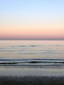 Angelini - 17