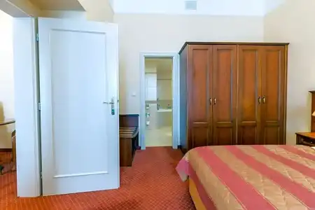 Danubius Health Spa Resort Centrální Lázne - 93
