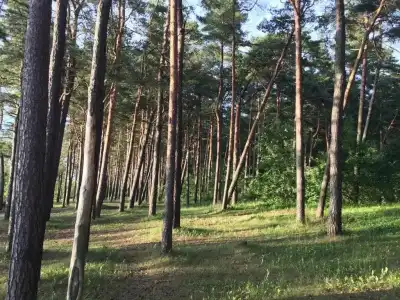 Pirita Beach Apartments & SPA - 51