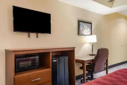 Econo Lodge Inn & Suites Little Rock SW - 26